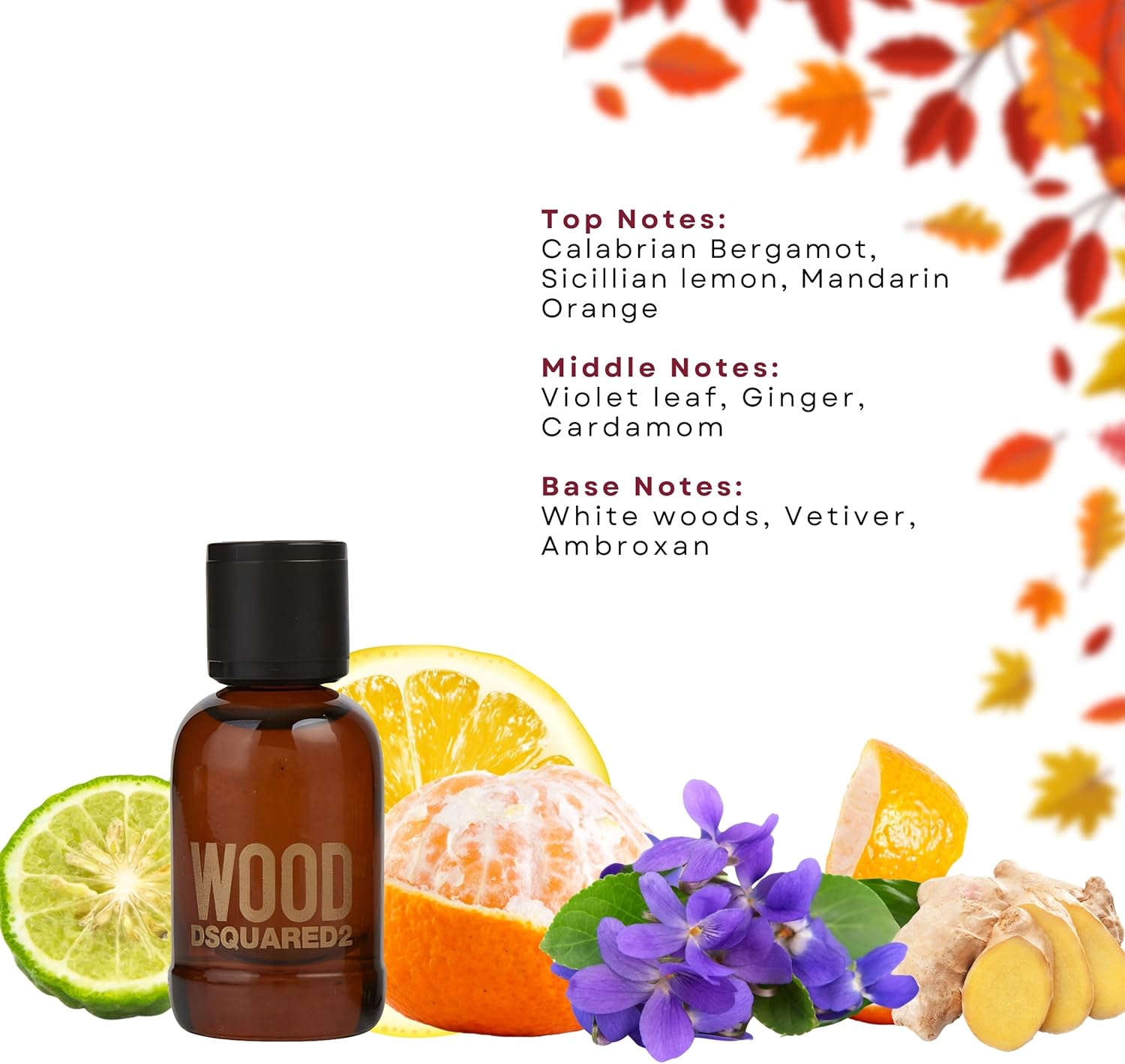 Dsquared2 Wood Men Eau De Toilette 5ml miniature bottle with fragrance notes