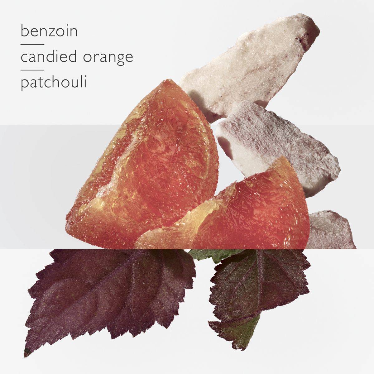 Candied orange slices and leaves with 'benzoin candied orange patchouli' text on a light gray background