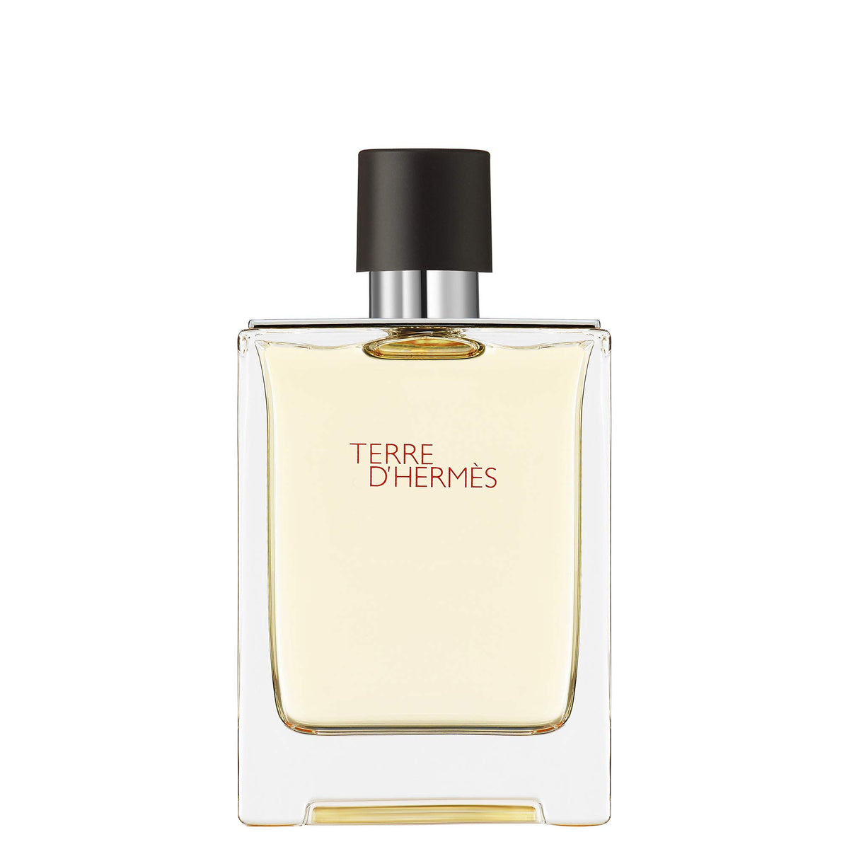 Hermès Terre d'Hermès Eau de Toilette 100ml in the signature bottle with the Hermès H cut into the glass base