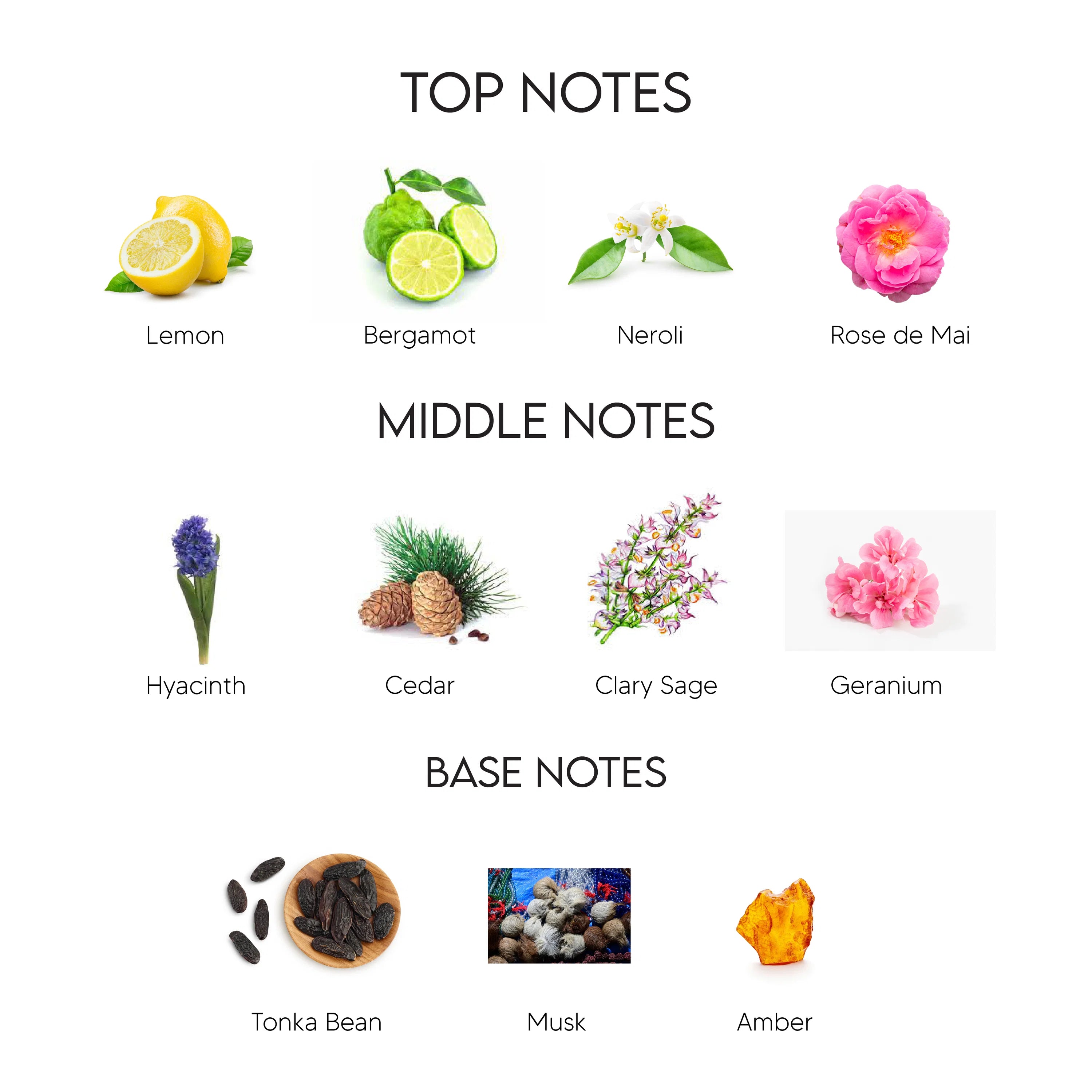 A fragrance notes chart labeled TOP NOTES, MIDDLE NOTES, and BASE NOTES, showing illustrated botanical and material icons with names: Lemon, Bergamot, Neroli, Rose de Mai, Hyacinth, Cedar, Clary Sage, Geranium, Tonka Bean, Musk, and Amber.