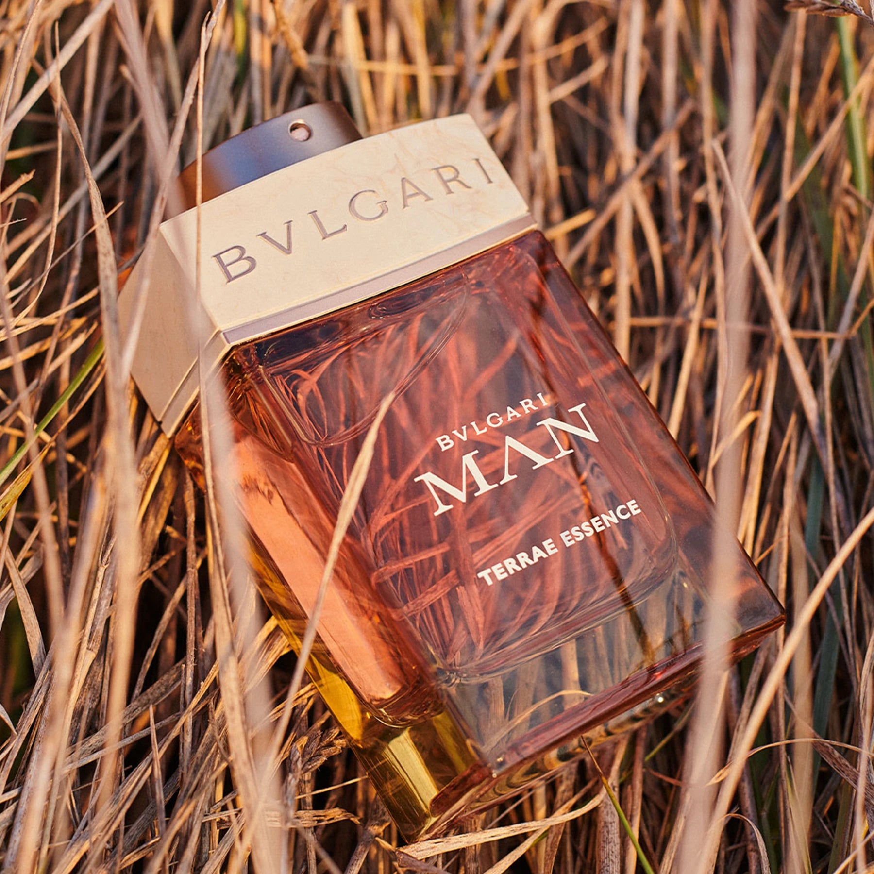 Bvlgari Man Terrae Essence perfume bottle on dry grass