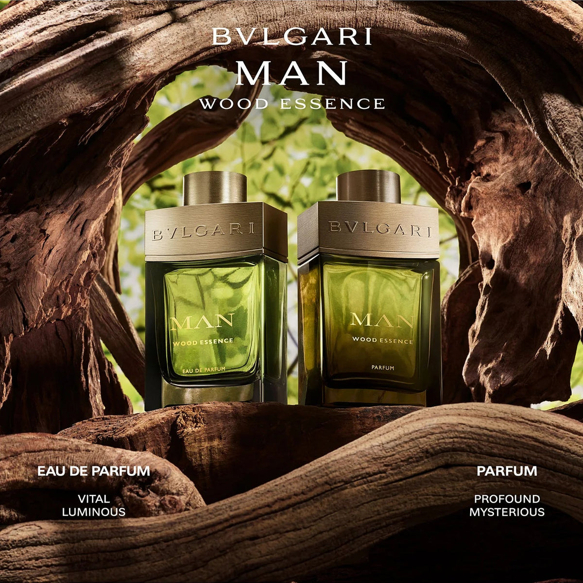 bvlgari man wood essence edp and parfum bottles in a natural setting