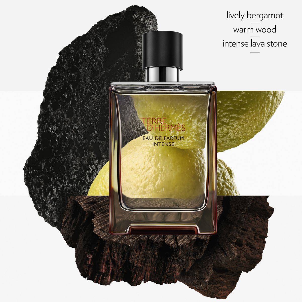 Hermes Terre d'Hermes Eau De Parfum Intense 100ml Set