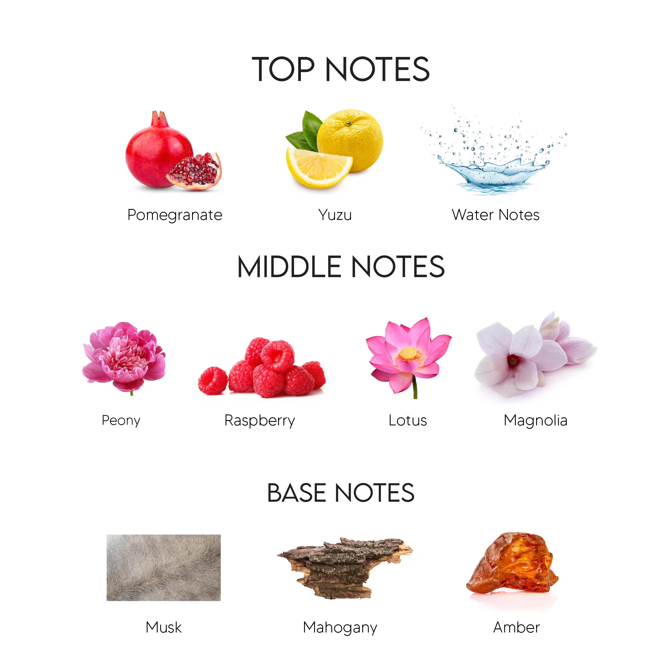 A fragrance notes chart on a white background showing top, middle, and base notes with labeled illustrations: pomegranate, yuzu, water; peony, raspberry, lotus, magnolia; and musk, mahogany, amber.