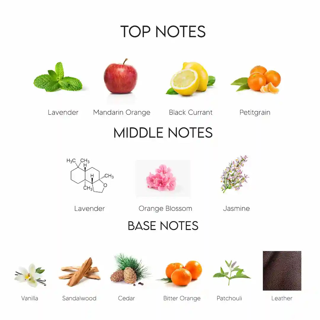 A fragrance notes chart showing top, middle, and base notes with corresponding visual representations. Top notes include lavender, mandarin orange, black currant, and petitgrain.