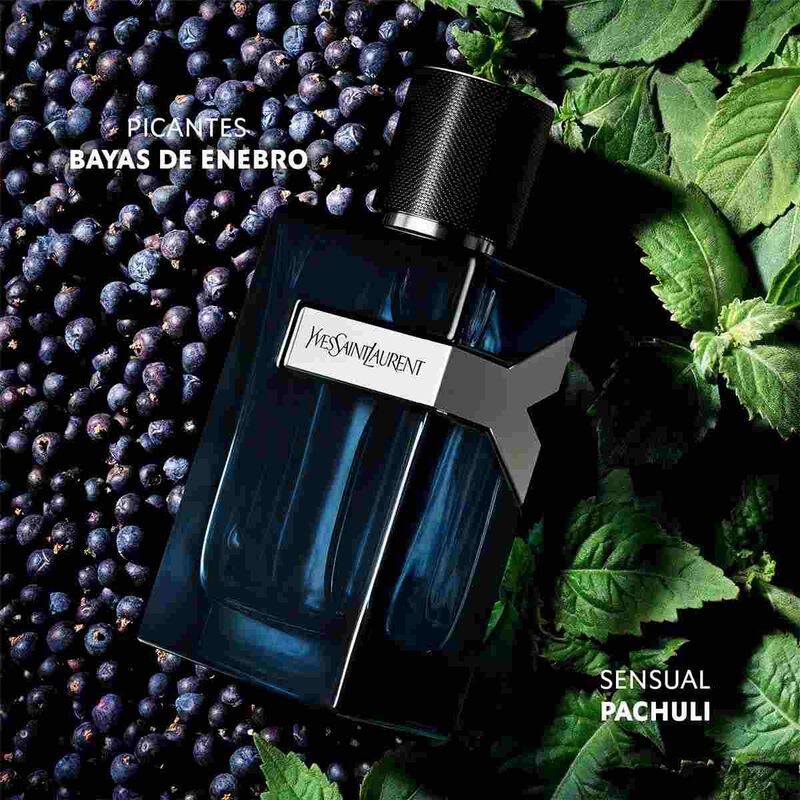 Blue perfume bottle with Yves Saint Laurent label on a background of berries and leaves